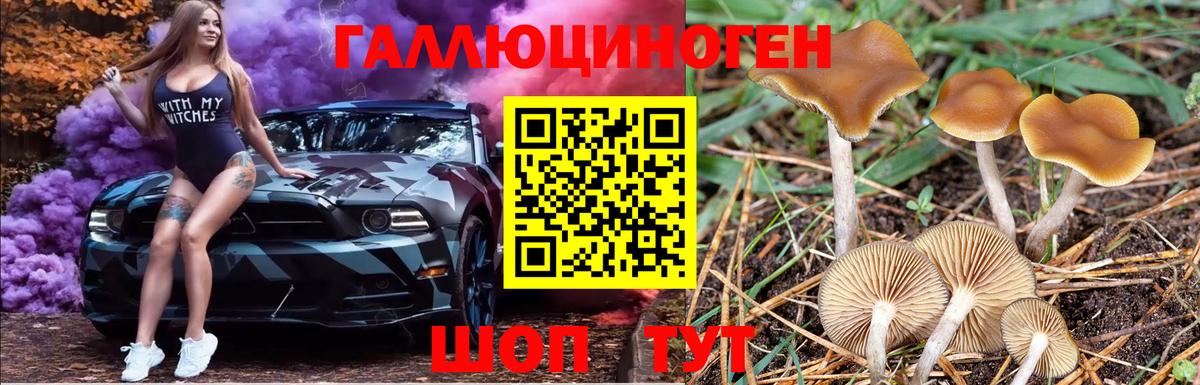 Пятигорск  Галлюциногенные грибы MAGIC MUSHROOMS  Вход с VPN  где купить   Галлюциногенные грибы Psilocybe 